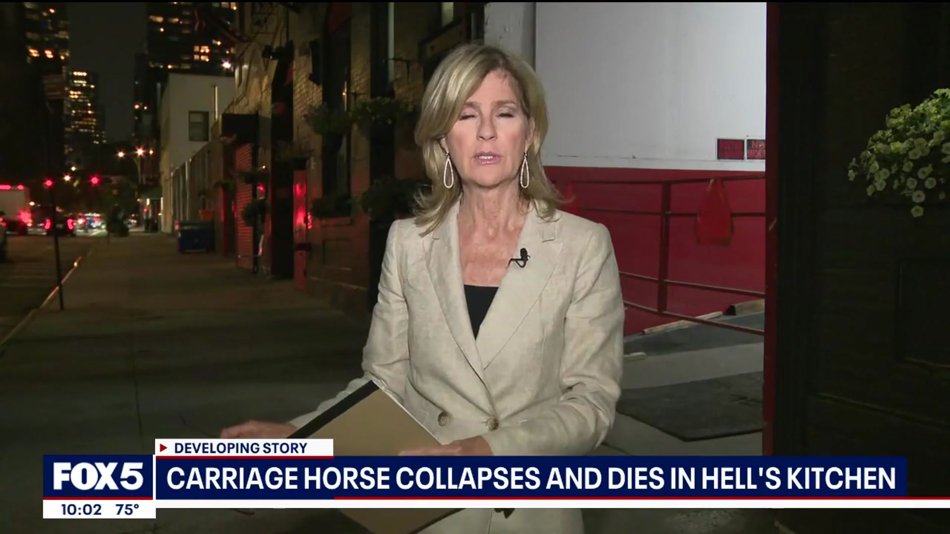 'Video thumbnail for Carriage horse dies after collapsing in Manhattan'