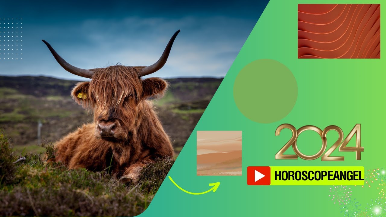 'Video thumbnail for Lucky color for Ox 2024 chinese astrology: video blog'