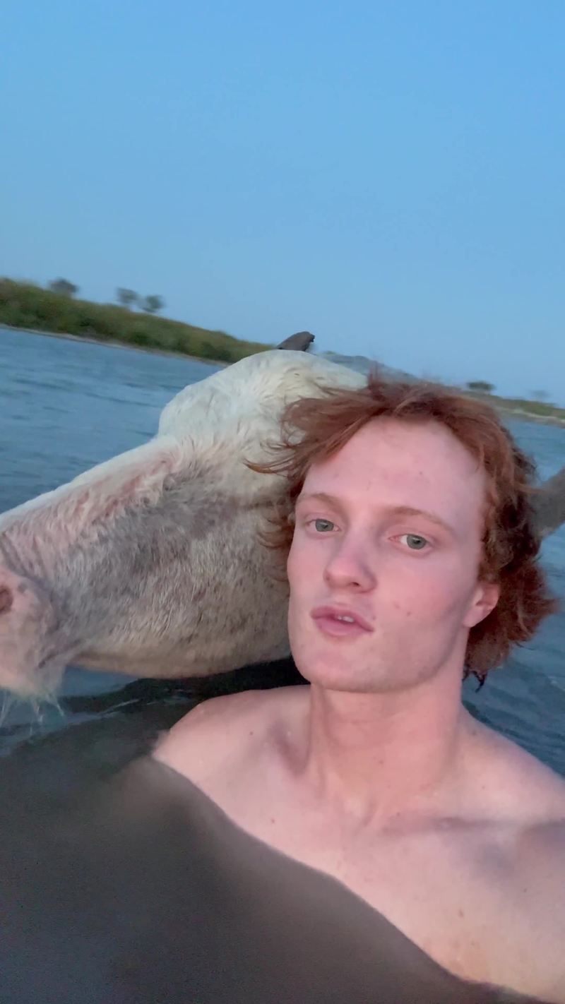Video thumbnail for River Swim with a Playful Water Buffalo at Sunset