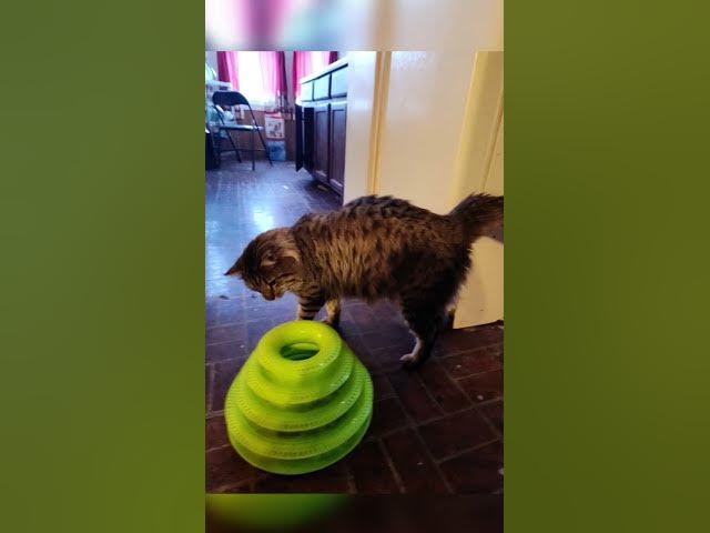 Video thumbnail for He grew up to be beautiful