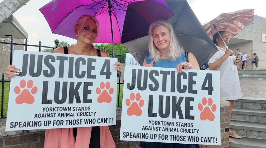 Video thumbnail for Yorktown supporters rally for dog owner as shooting suspect returns to court