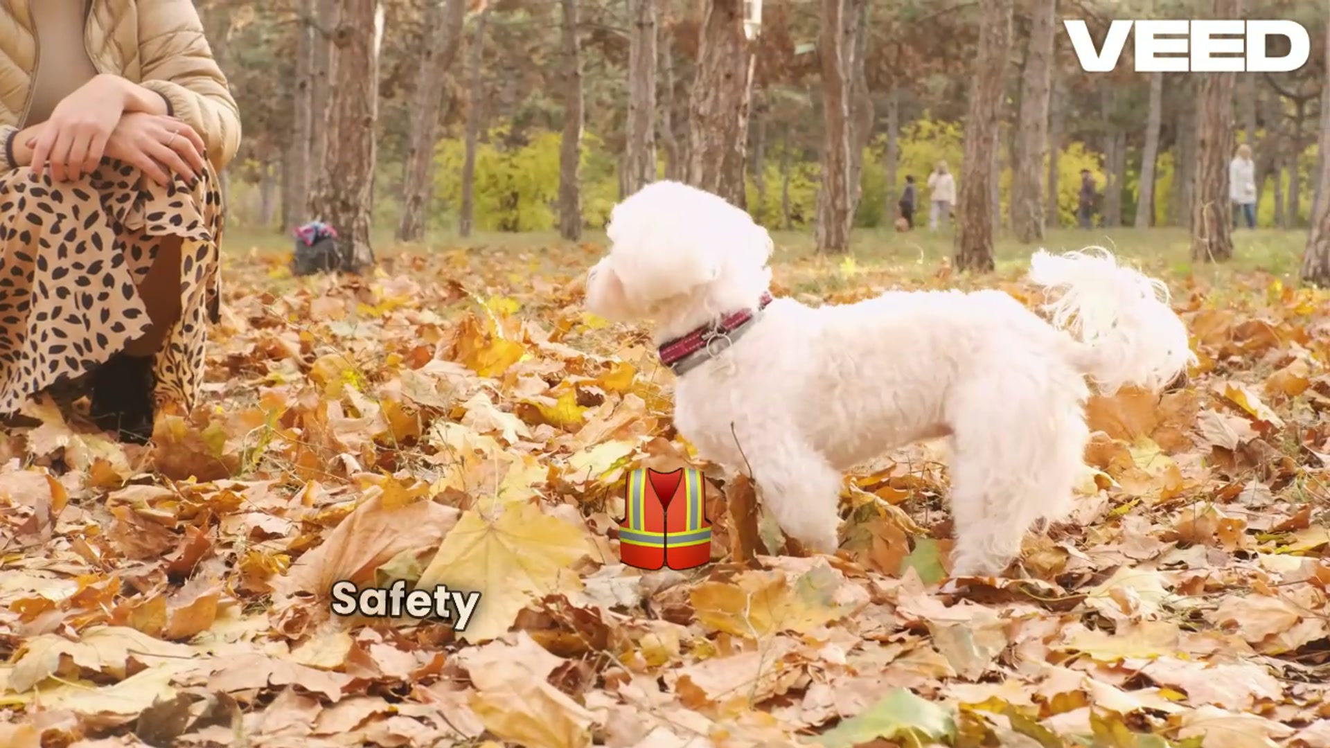 'Video thumbnail for Pet Safe Cat Door'
