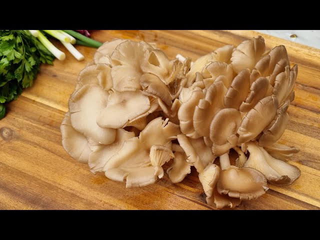 Video thumbnail for How to cook Oyster Mashrooms? 💡