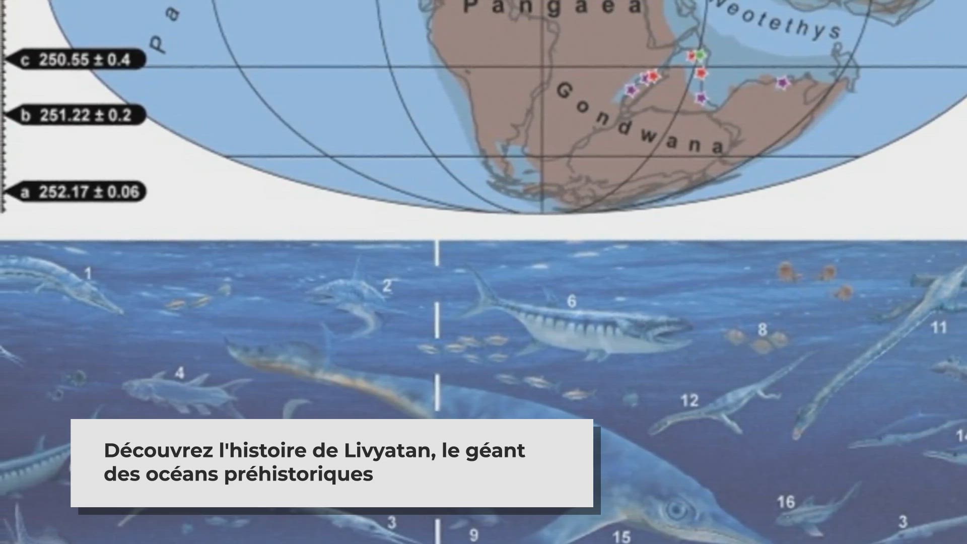 Video thumbnail for Livyatan: Le Titan des Mers Préhistoriques