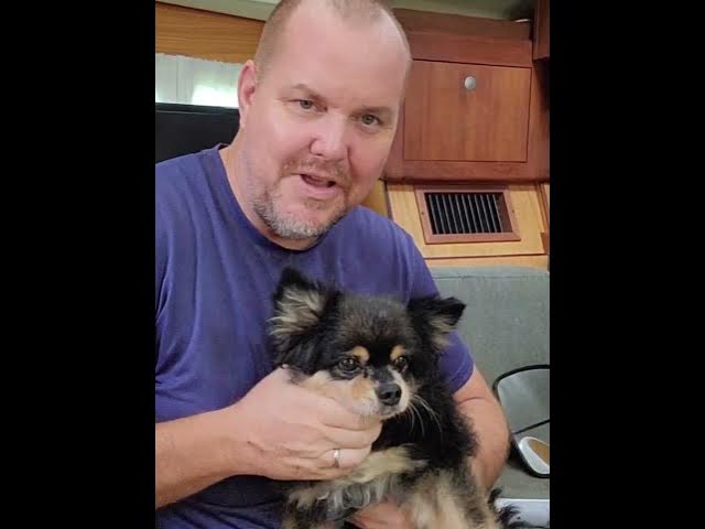 Video thumbnail for Redneck Grooming Hack: One Trimmer for Dog & You