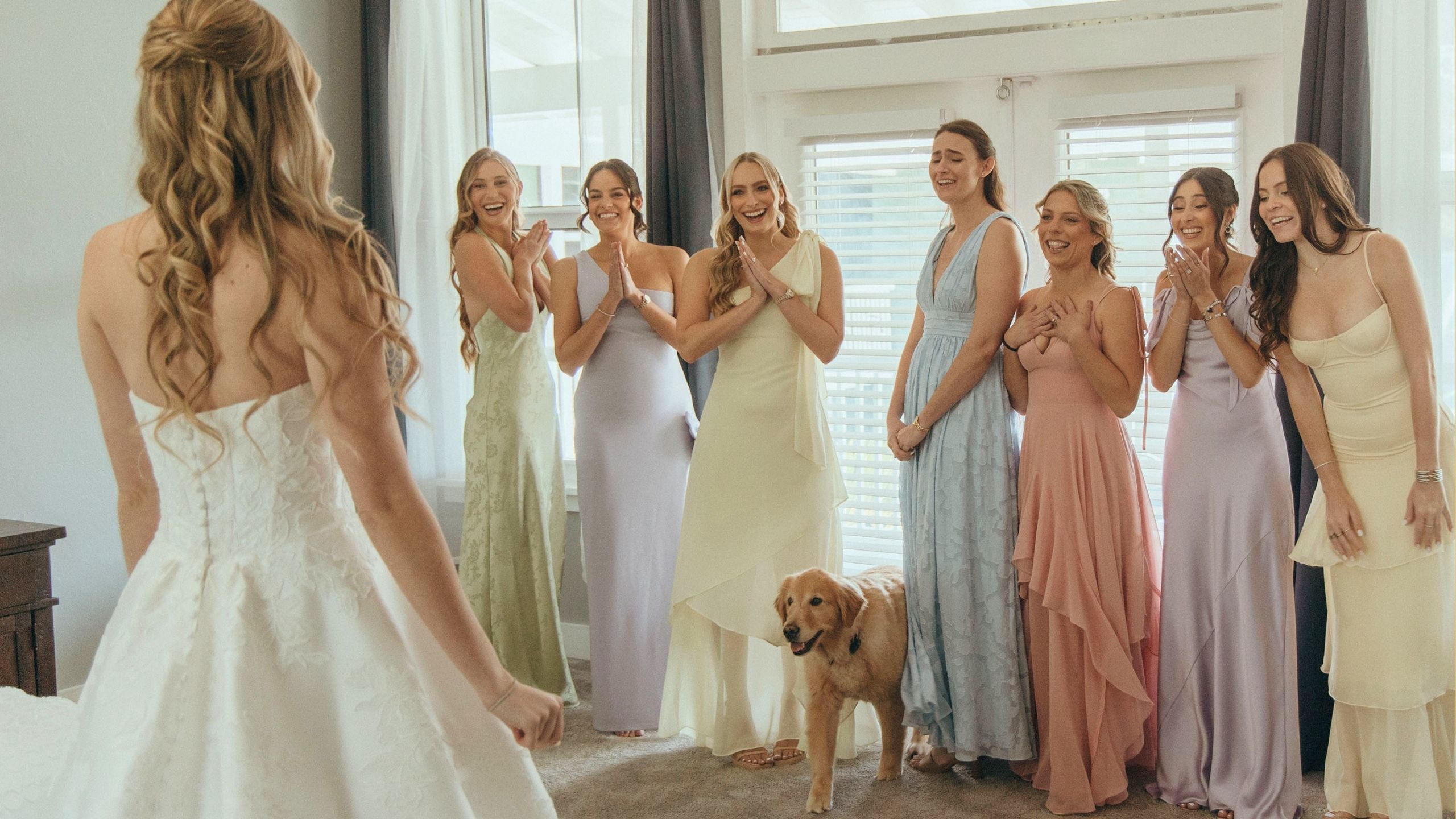 Video thumbnail for Dog Takes Part In Bridesmaids' Dress First-Look With Bride