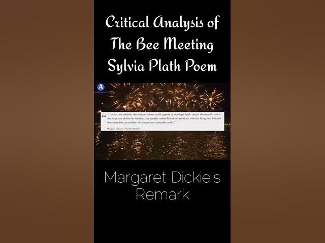 Video thumbnail for Critical Analysis of The Bee Meeting