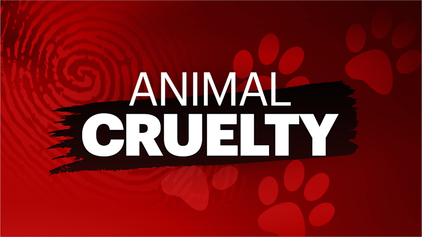Video thumbnail for Dead dog found near creek in Hamilton, police asking for public's help