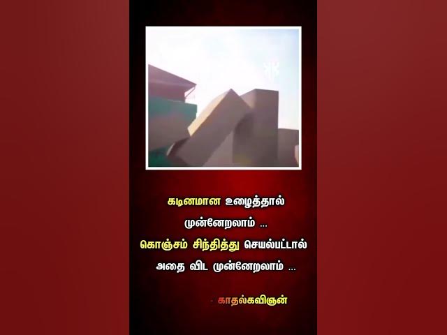 Video thumbnail for #shifaherbalnapkin#motivation#business #trending