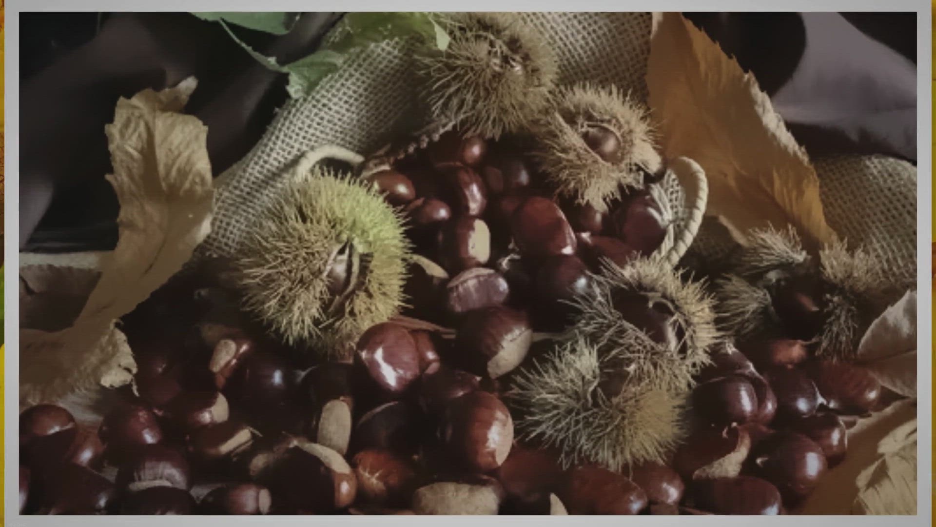Video thumbnail for A Guide to Selecting the Best Chestnuts for Your Holiday Fare