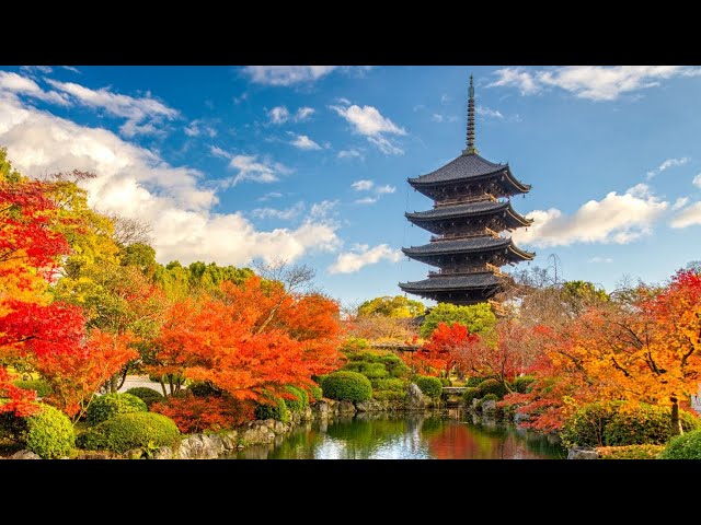 Video thumbnail for Must-Visit Destinations for Fall Travel