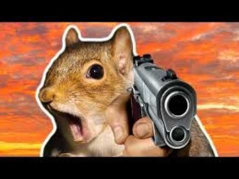 Video thumbnail for Squirrel with a gun game play Part 1