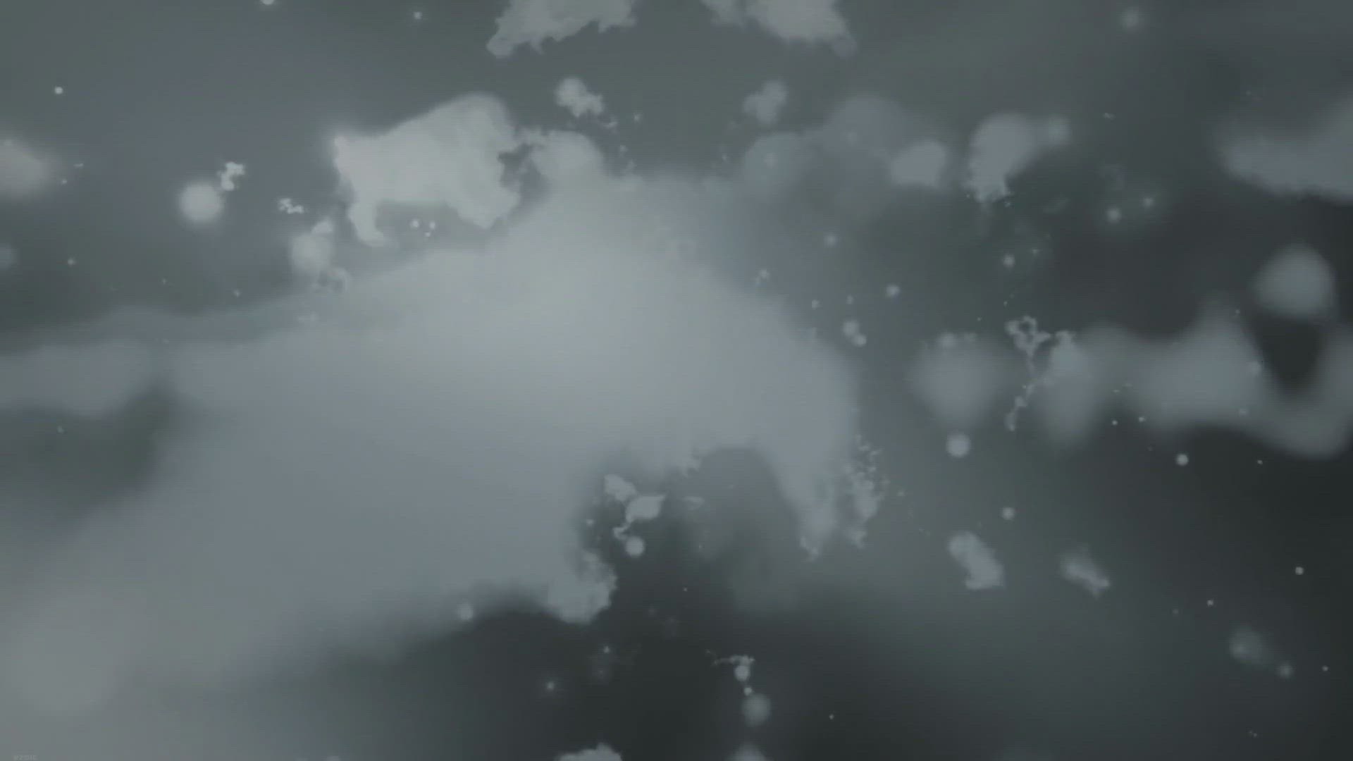 Video thumbnail for How to Mix Chainsaw Gas