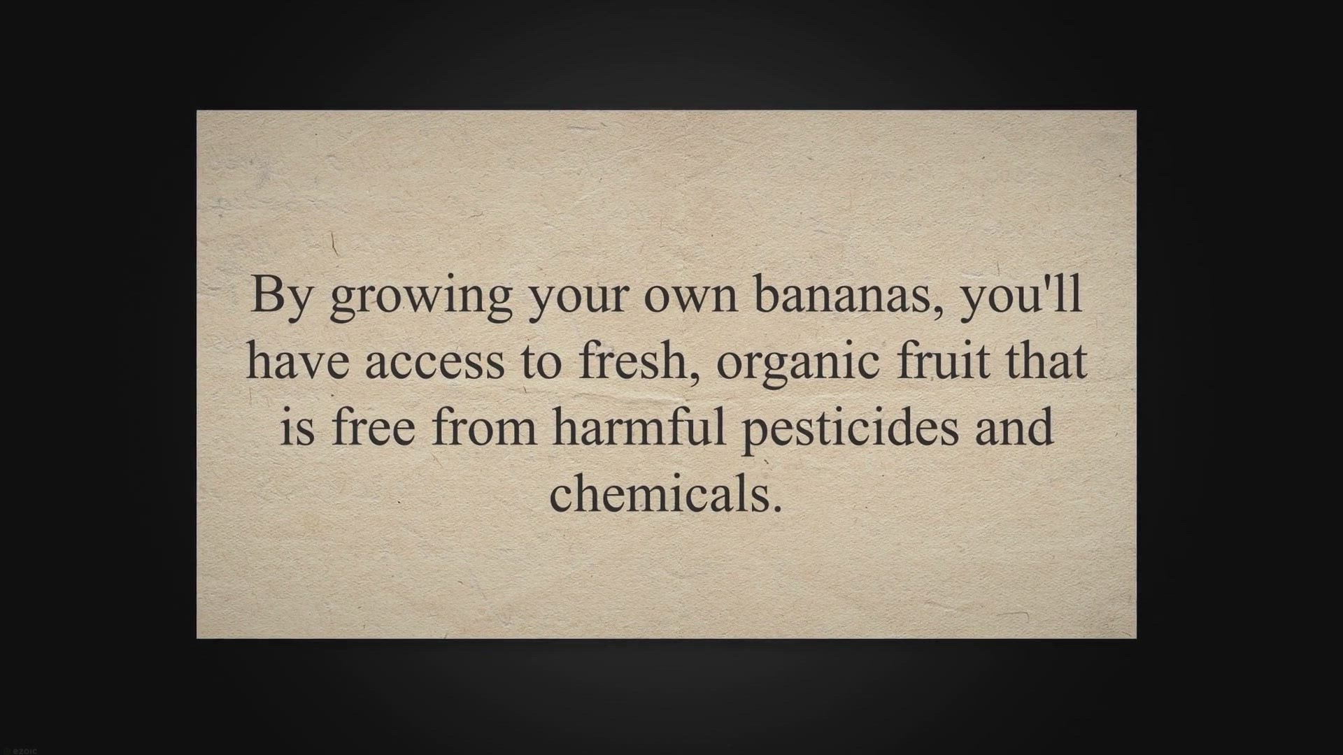 Video thumbnail for From Garden to Table: A Guide to Growing and Harvesting Bananas in Your Own Backyard