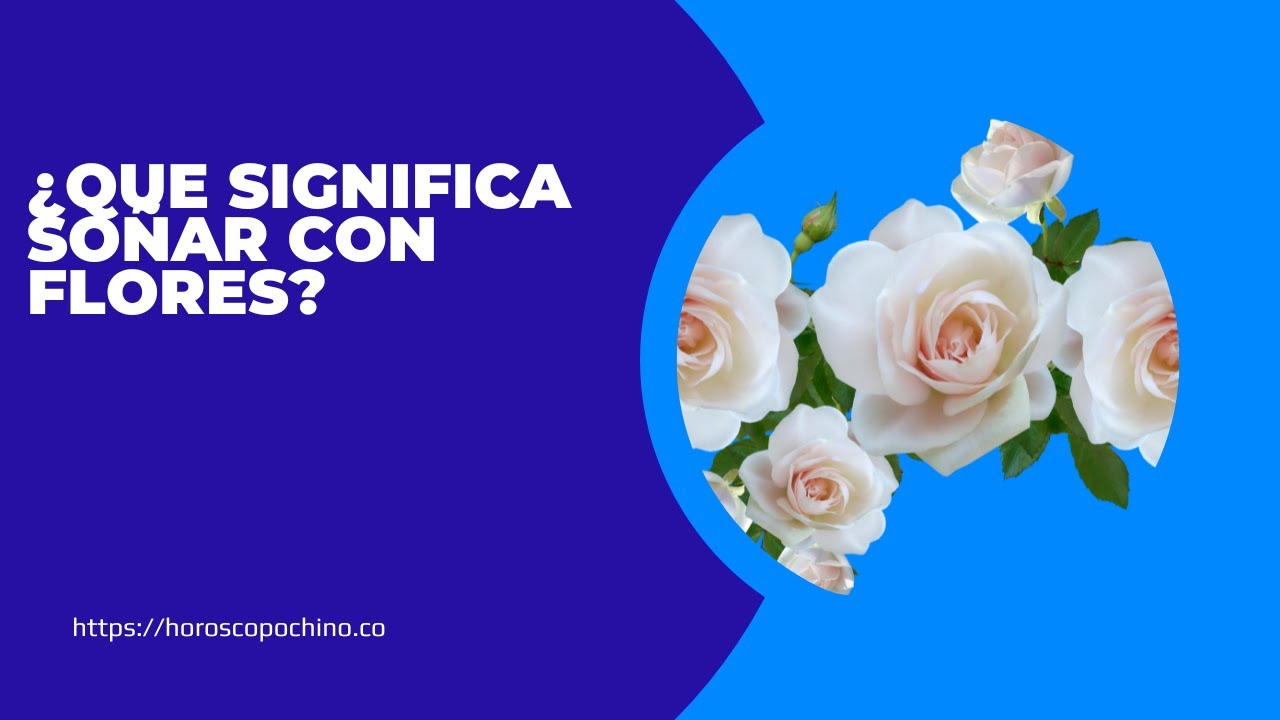 'Video thumbnail for ¿Que significa soñar con flores? Interpretación video blog'
