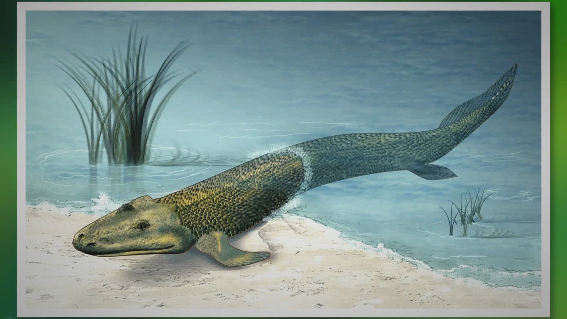 Video thumbnail for Revealing 15 Remarkable Animals From the Devonian Period