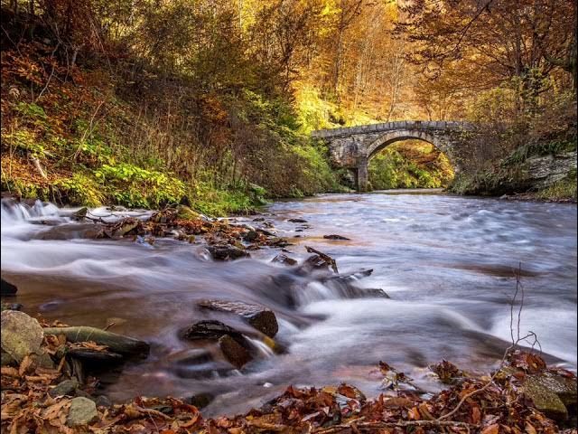 Video thumbnail for Classical Moments - Relaxing Music for Daily Relaxation