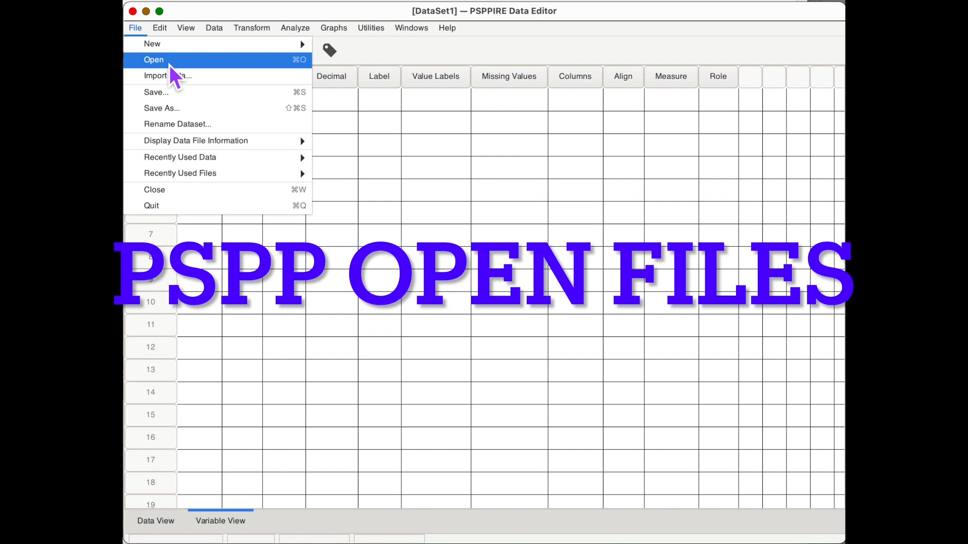 'Video thumbnail for Two PSPP annoyances (and how to get around them)'