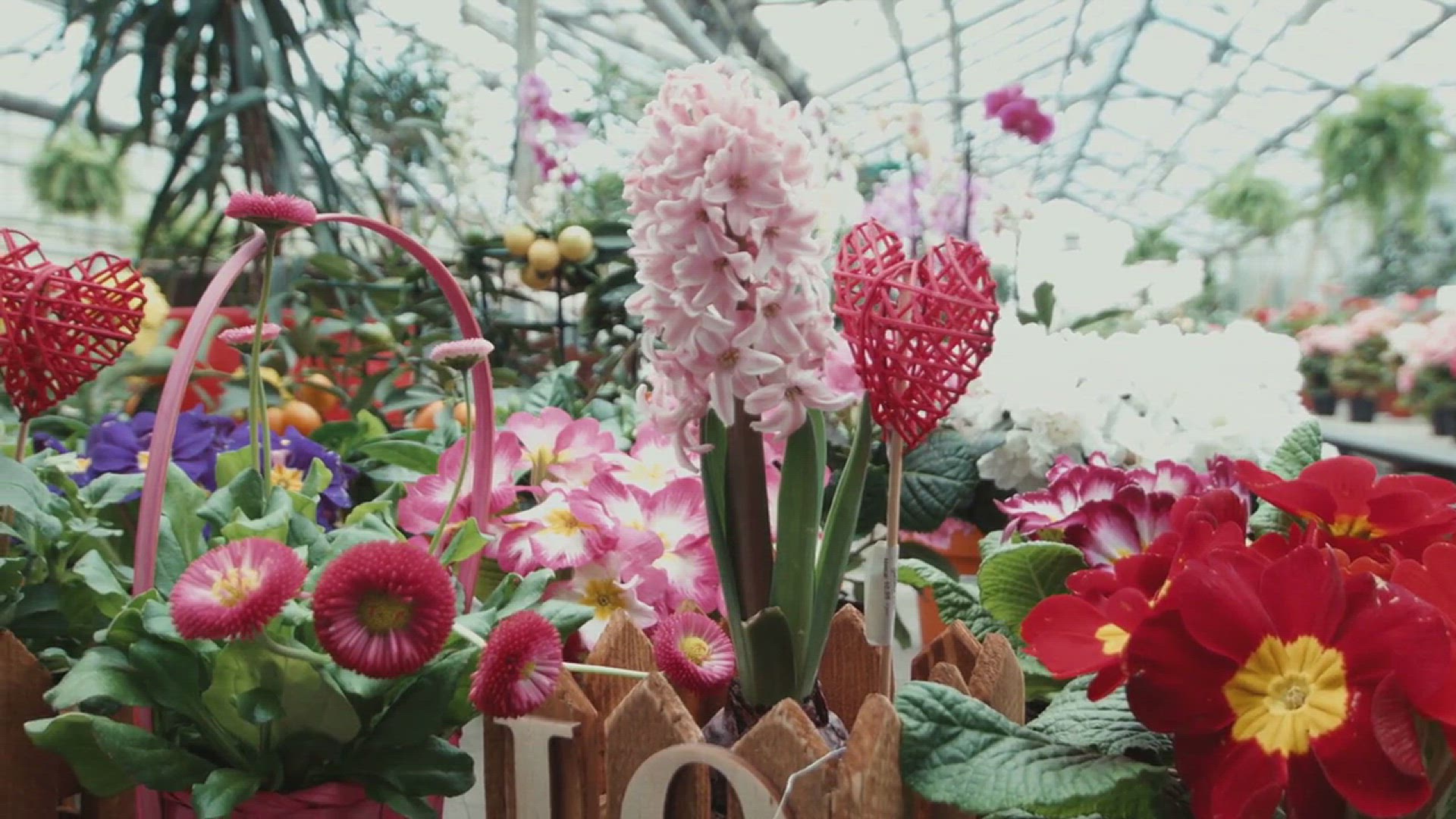 'Video thumbnail for Landscaping Ideas for Front Yards'