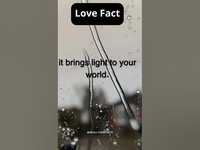 Video thumbnail for Love Fact