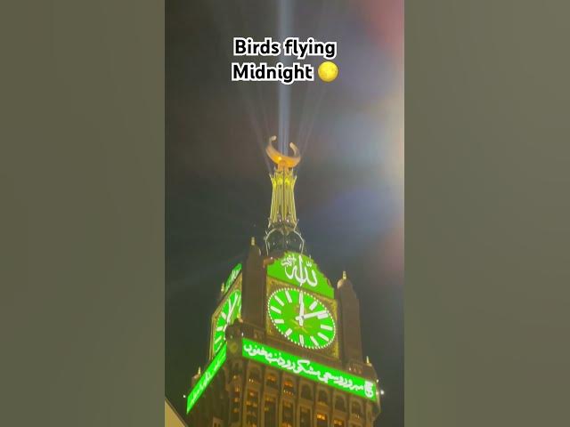 Video thumbnail for 18 June 2024