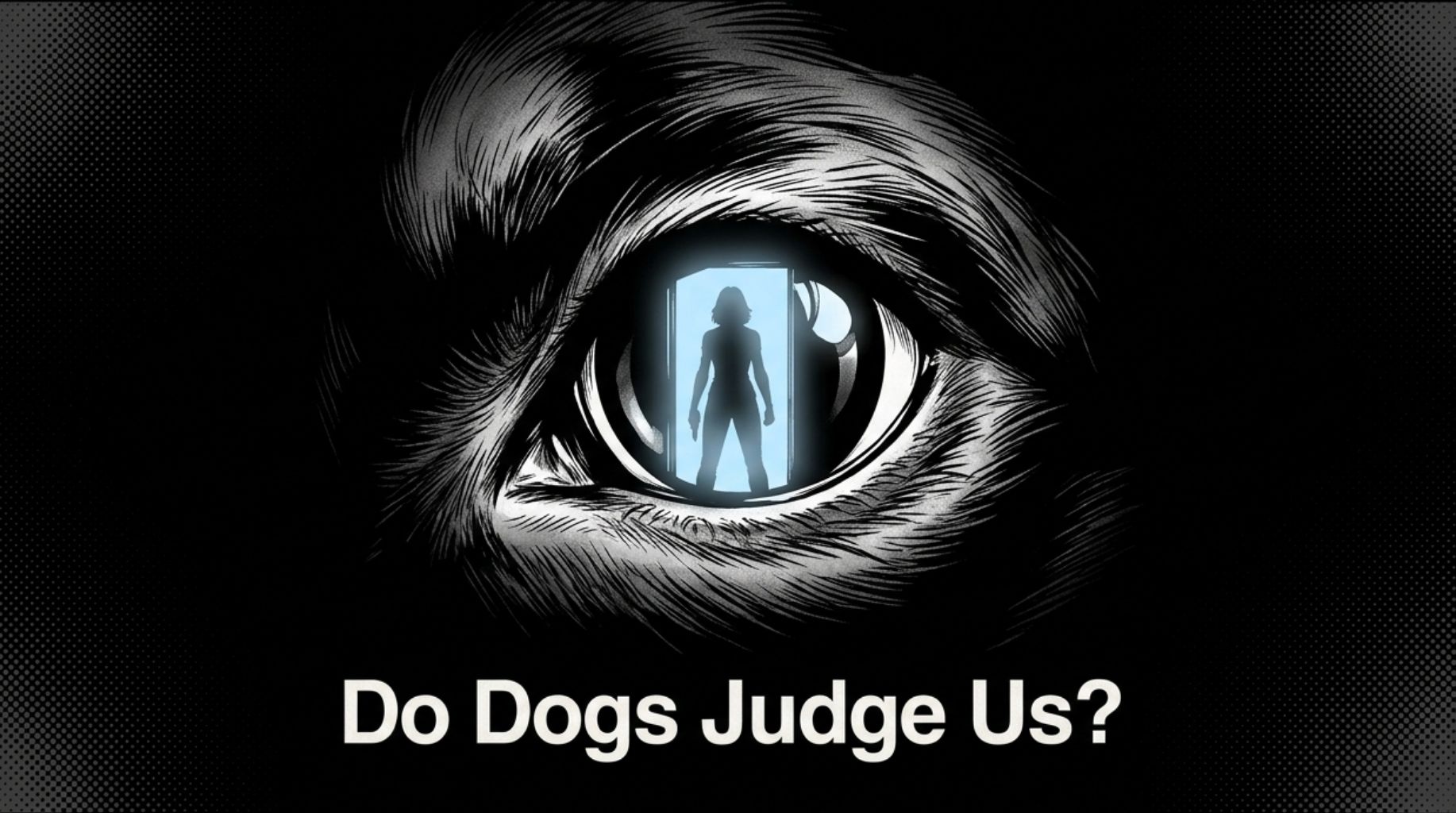 Video thumbnail for Do Dogs Judge Us?