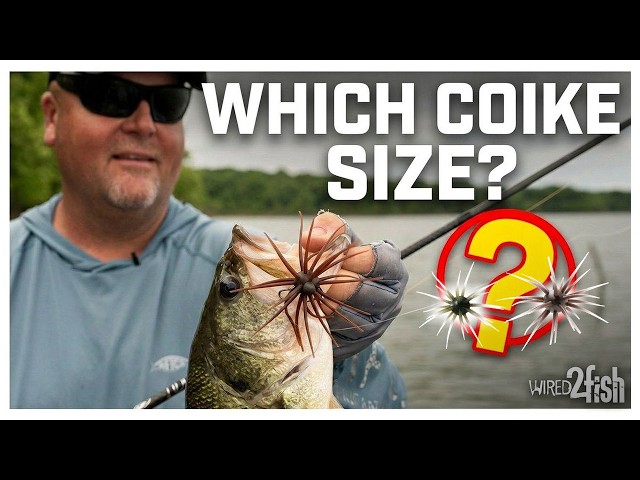 Video thumbnail for Coike Bass Fishing: Which Size Should You Fish?