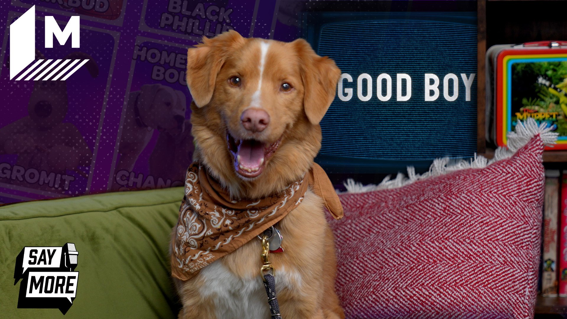 'Video thumbnail for 'Good Boy's dog, Indy, and filmmakers play Choose Your Squad'