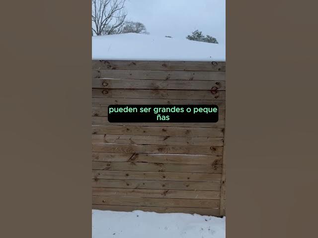 Video thumbnail for Devocional "El Poder del Agradecimiento" #agradecimiento #devocional #devocionaldiario #devocional