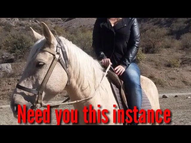 Video thumbnail for 22 December 2022