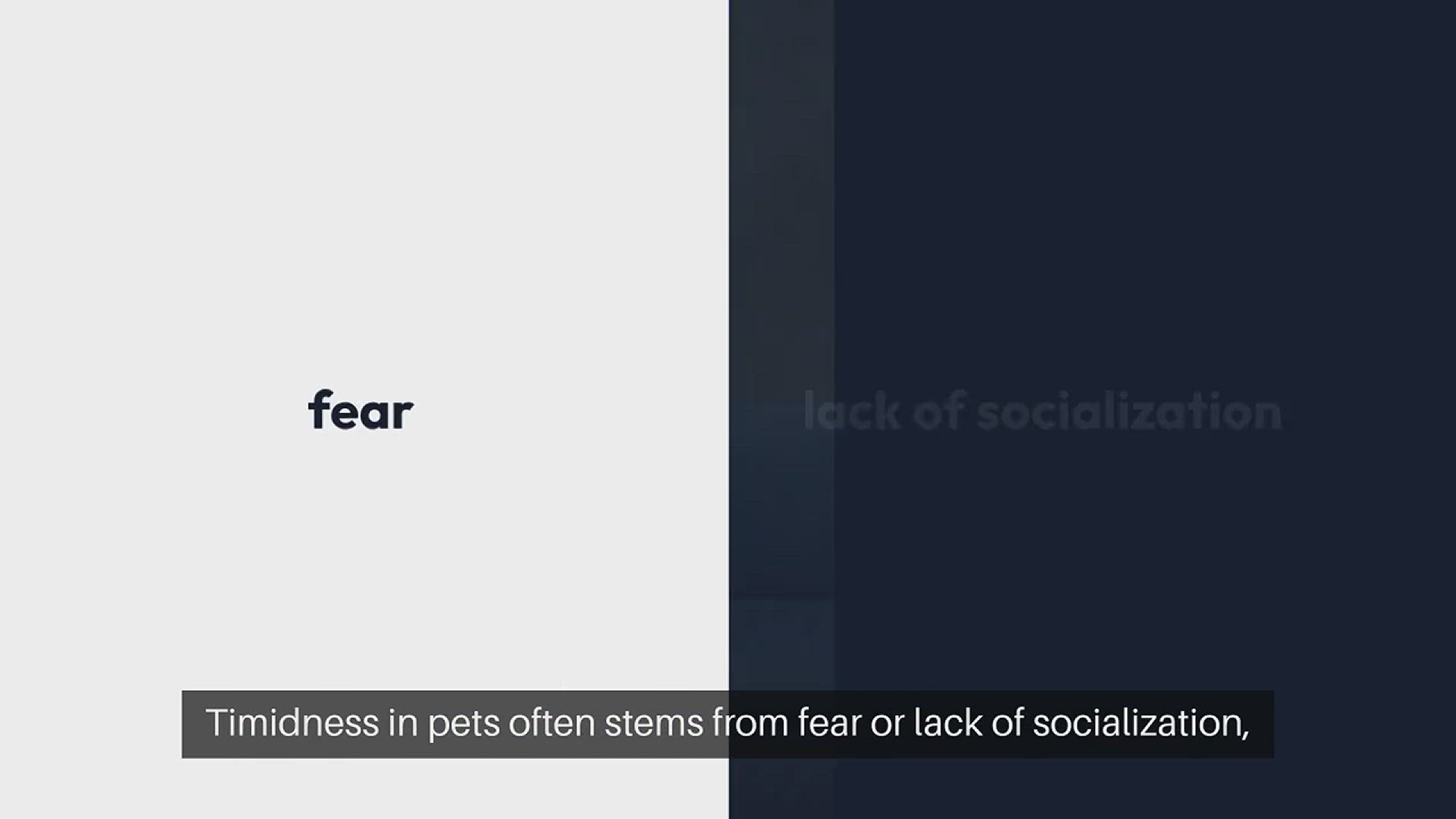 Video thumbnail for Training Timid Pets