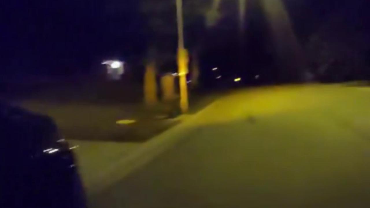 Video thumbnail for US: Hero Dog Leads Police Officer To Homeowner Unable To Get Up For Hours.