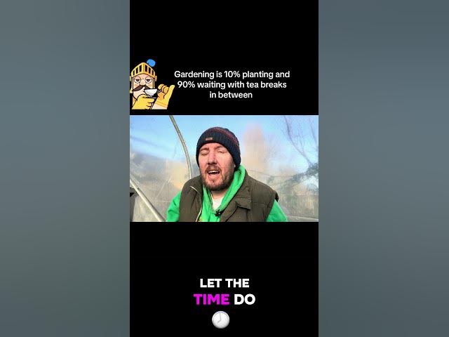 Video thumbnail for 🎥 ✅ 🌿 Gardening is 10% Planting & 90% Weeding ☕ | Real Allotment Life | #Shorts