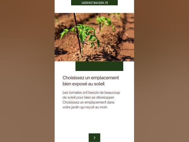 Video thumbnail for 5 conseils pour avoir de belles tomates au potager