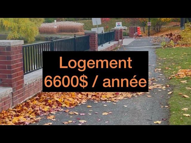 Video thumbnail for Étudiant étranger au Canada 🇨🇦 les frais de subsistance et coût de la vie. #immigration #canada