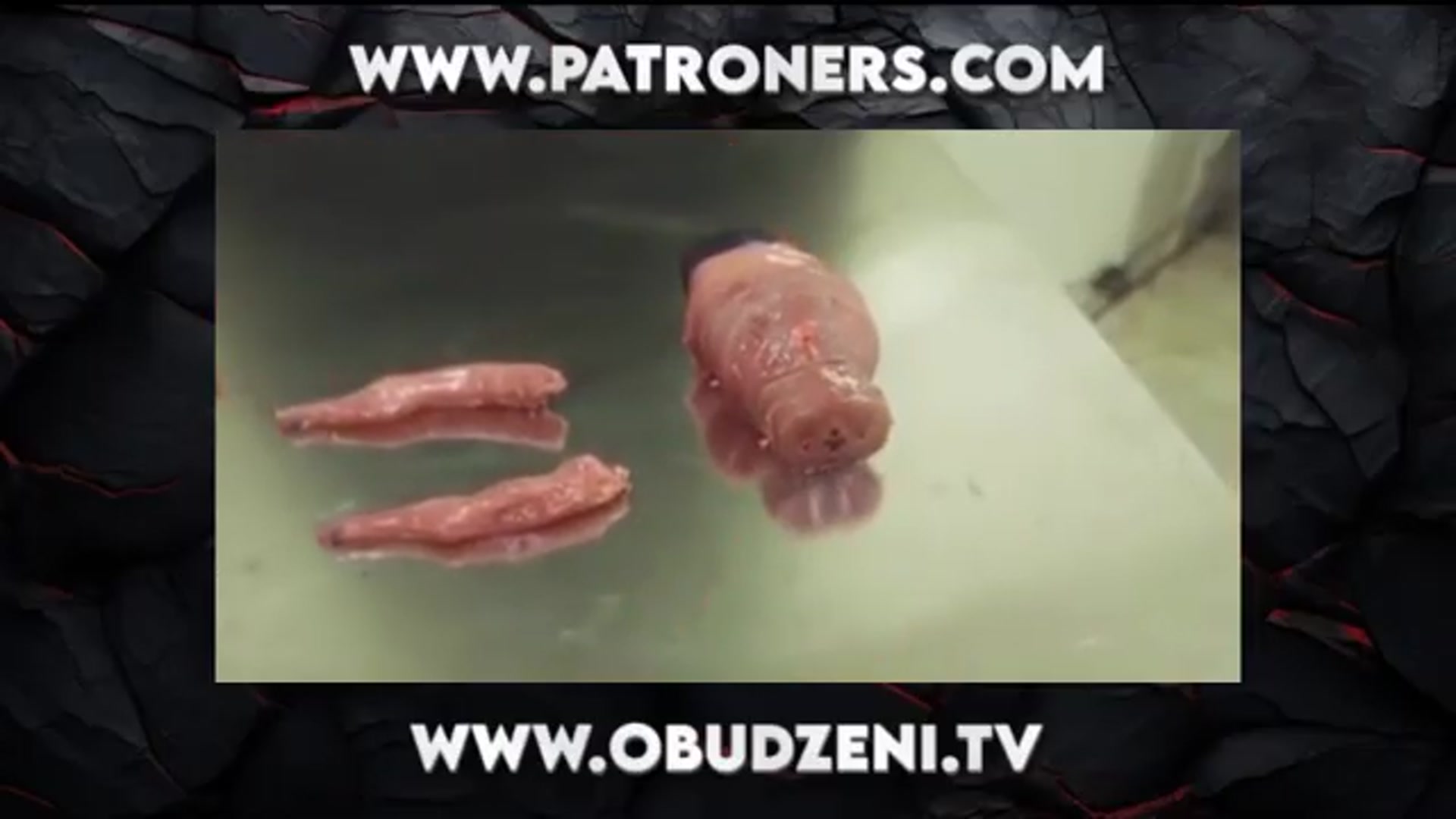 Video thumbnail for Ożywił martwą tkankę. Napisz w komentarzu czy Janusz przeżyje ?