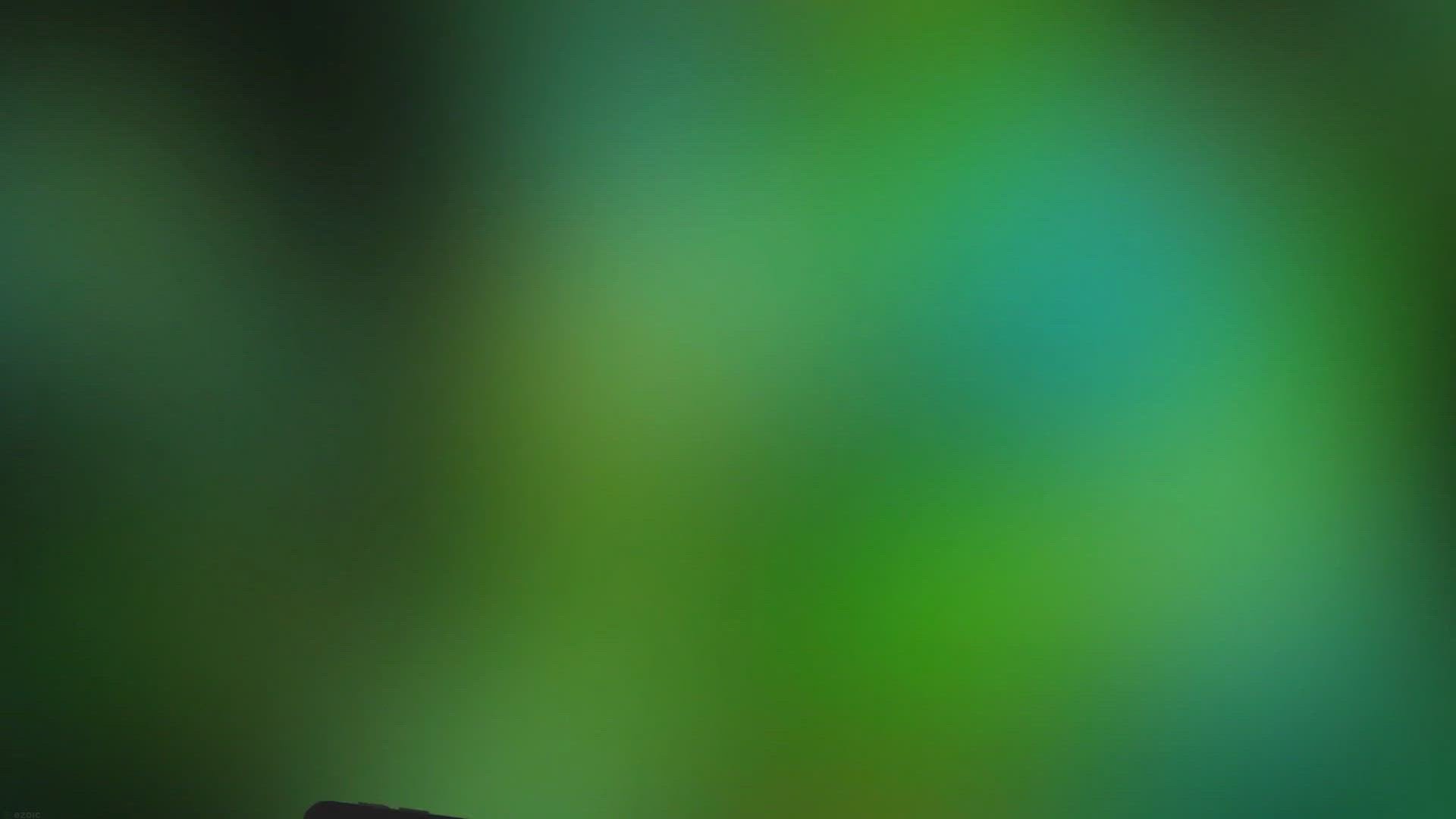 Video thumbnail for 7 Incroyables Secrets sur le Berger Australien