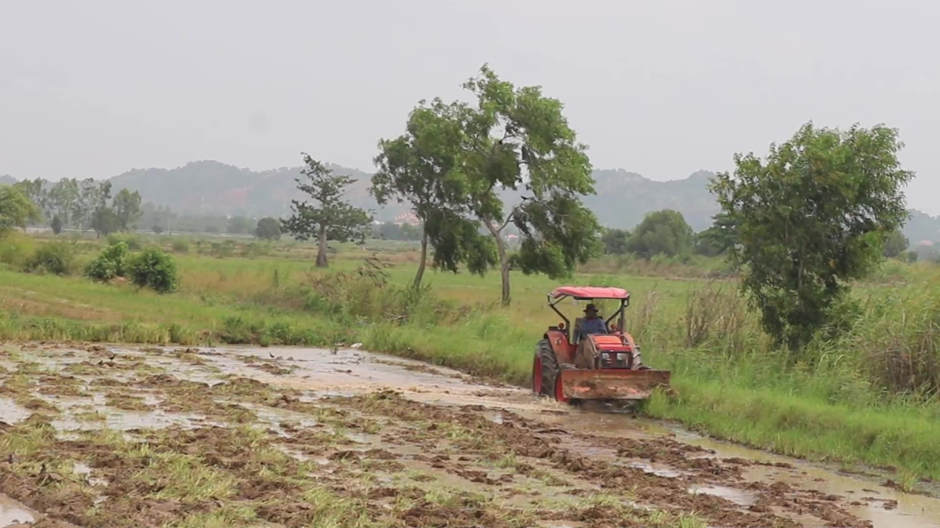 Video thumbnail for The Famer drive tractor to plough soil in fiedl