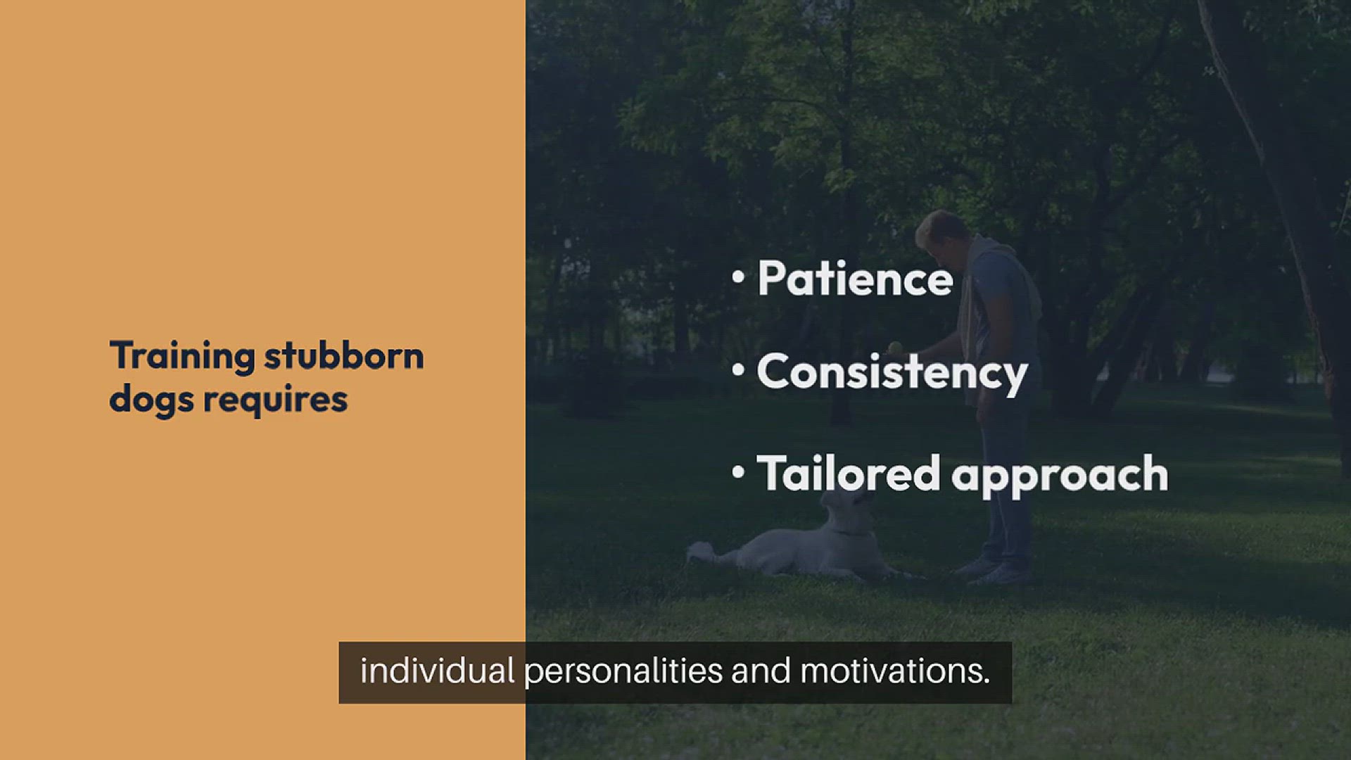 Video thumbnail for Training Stubborn Dogs