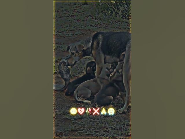 Video thumbnail for August 18, 2025