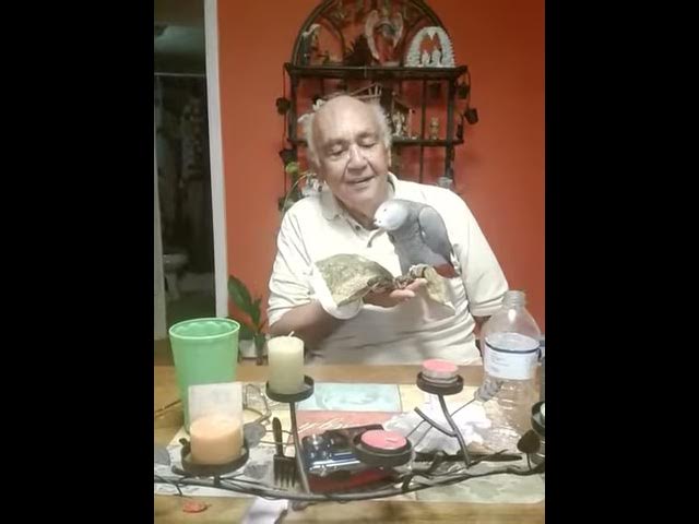 Video thumbnail for Orlando and sunshine