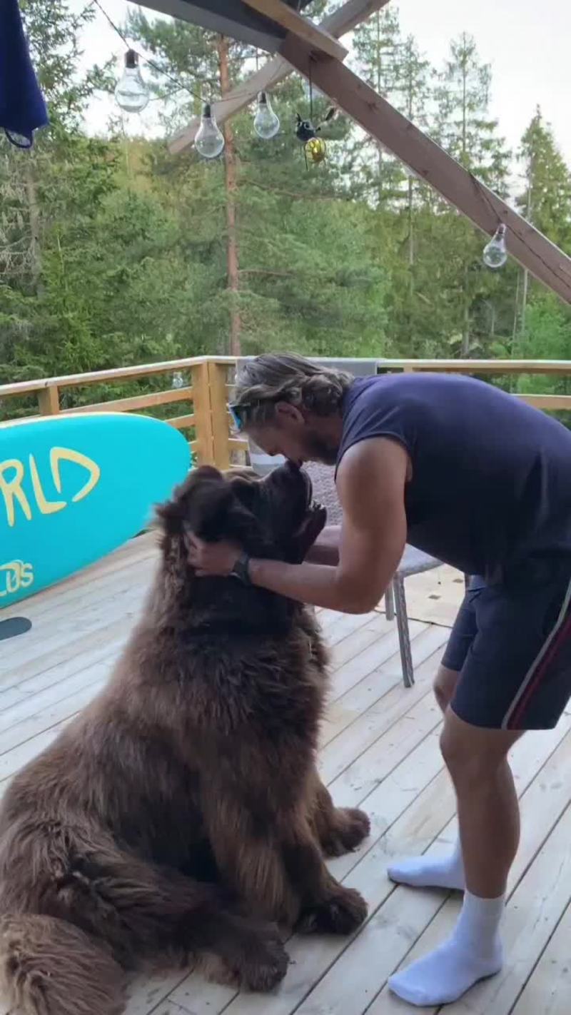 Video thumbnail for Giant Newfoundland Dog Gets Endless Deck Cuddles