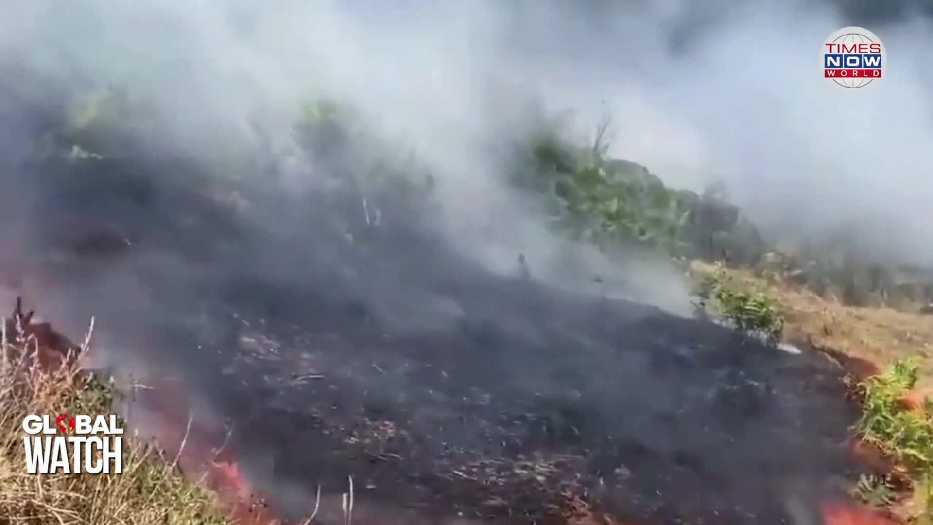 'Video thumbnail for Watch: Portugal Battles With Blazes Again! Firefighter On Front Struggling To Calm The Flames'