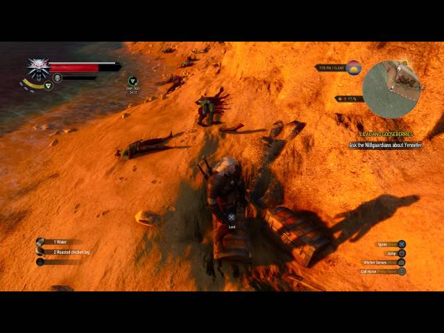 Video thumbnail for The Witcher 3: Wild Hunt - White Orchard: Drowners Combat, Ciderian Gambeson & Tawny Owl Manuscript