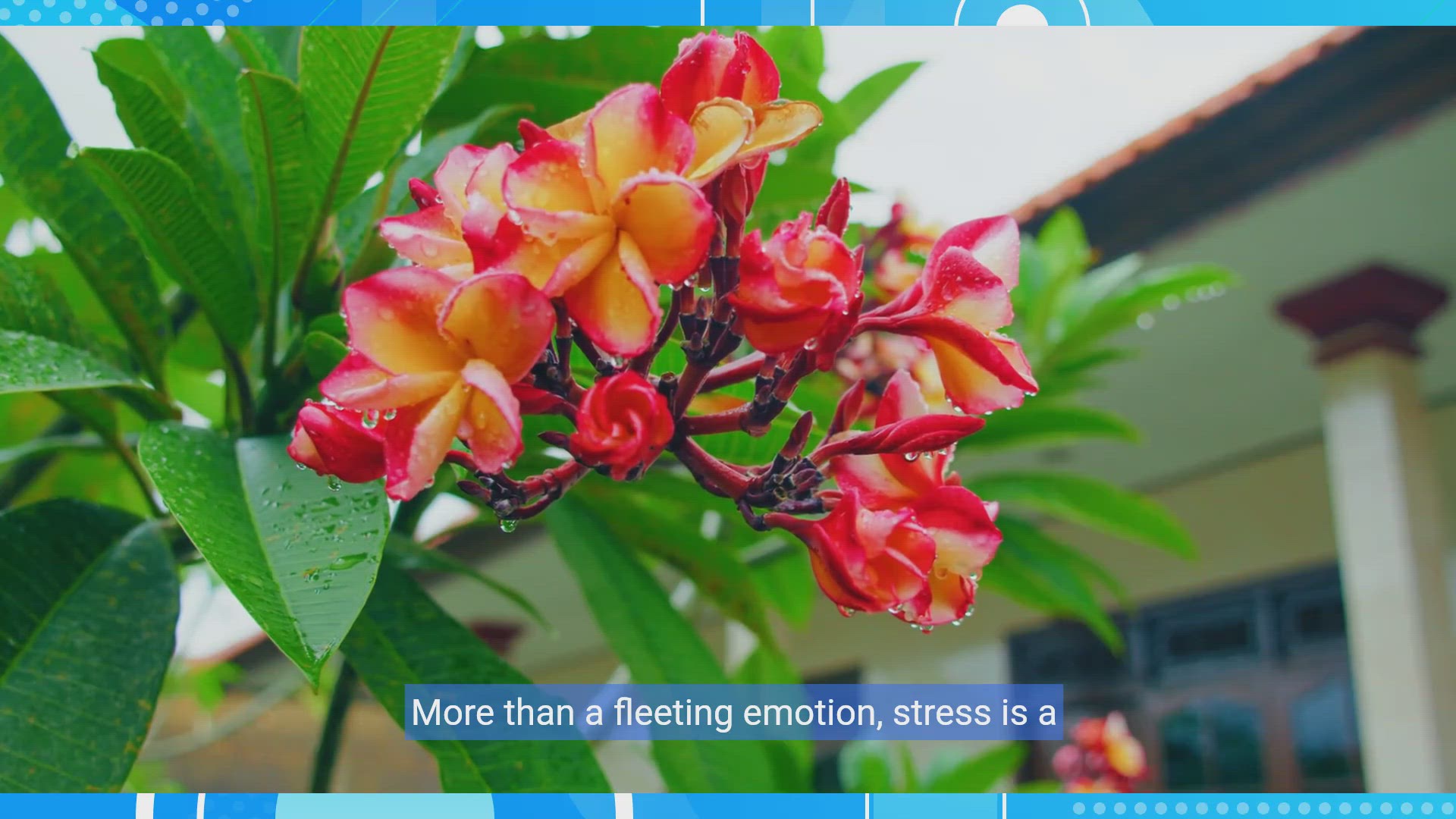 'Video thumbnail for Stress relief through silliness: Laughing away tensions'
