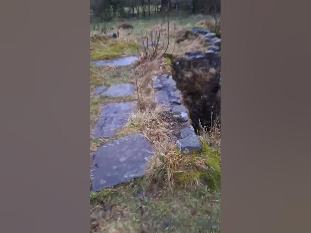 Video thumbnail for Echos of the manor house (and exposing myself)