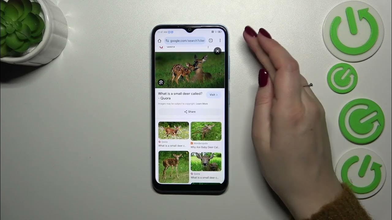Video thumbnail for How to Clear Browsing Data on ZTE Blade A73 - History, Cache, Cookies, Credentials, etc.