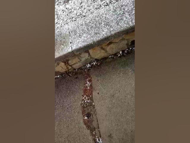 Video thumbnail for KARAOKE\WINTERYCAROLYN-XENA/KARATE