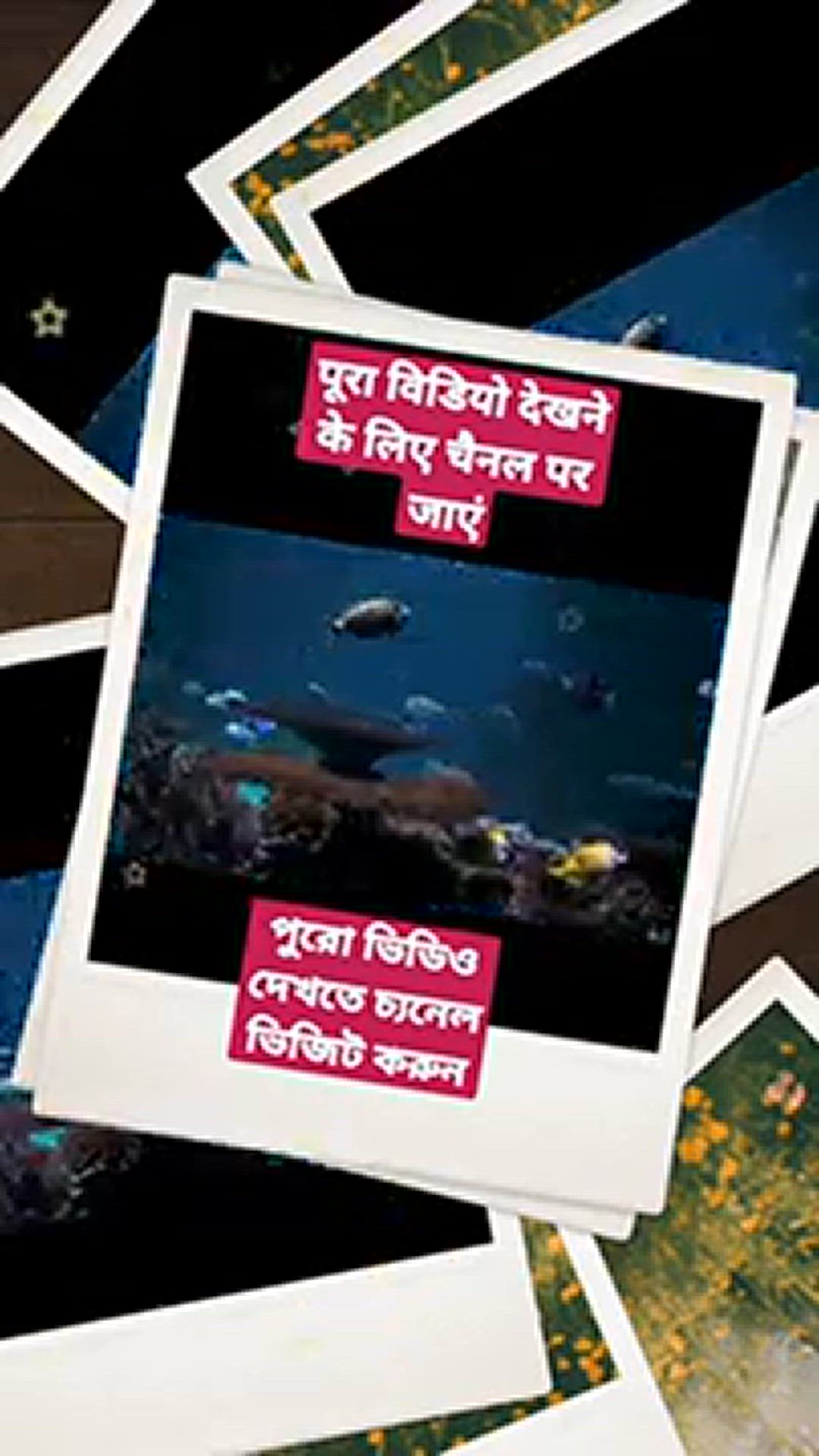 'Video thumbnail for Samundar ka Paani Paak hai ya Napaak, समुन्दर का पानी पाक है या नापाक by Mufti Najmul Haque #short'