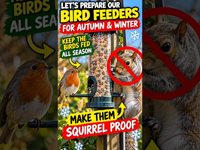 Video thumbnail for Stop Squirrels Stealing Your Bird Food! 🐿️🐦 #shorts